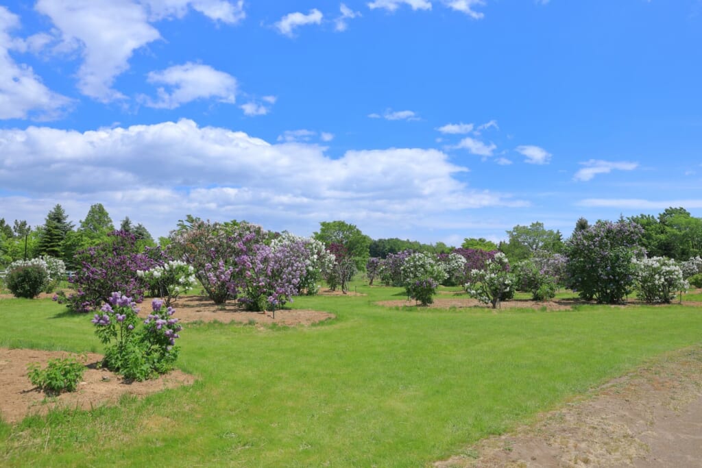 Shiroishi Kawashimo Park